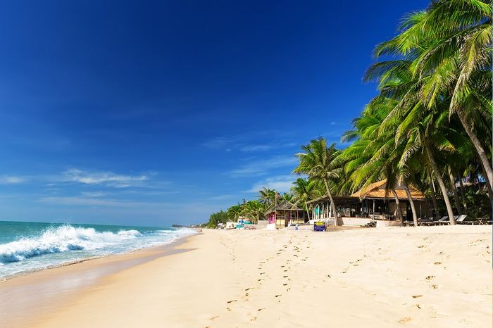 Bãi Hàm Tiến với cây xanh và bãi cát thoai thoải